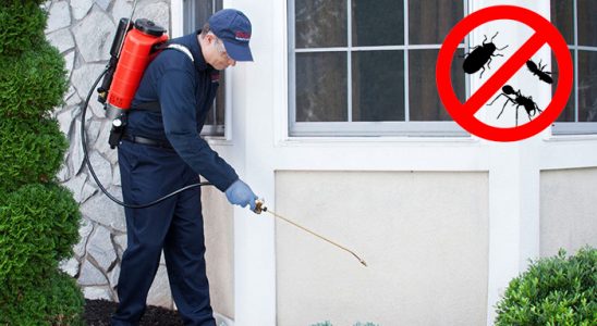 Bahşili Kemirgen İlaçlama böcek ilaçlama ve haşere kontrolü — ilaclama-tr.com